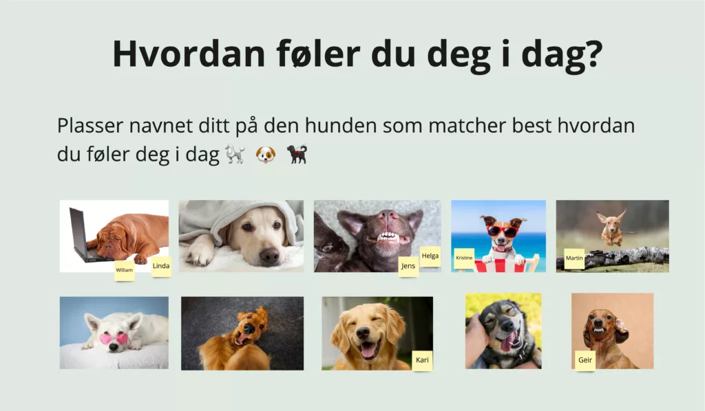 Hvordan føler du deg i dag? Plasser navnet ditt på hunden som best matcher hvordan du føler deg.